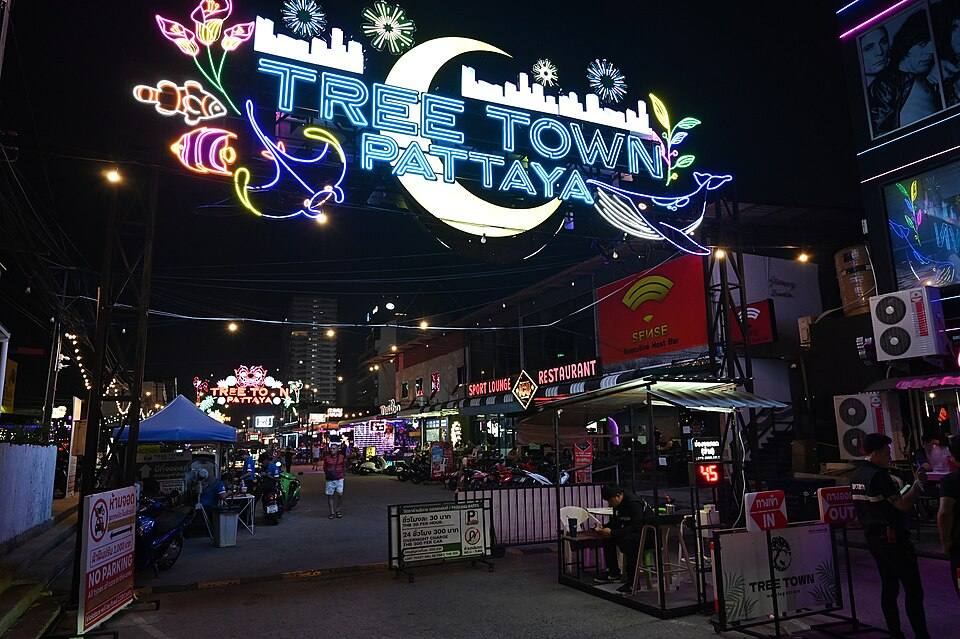 Tree Town